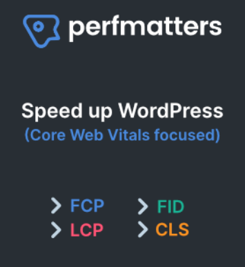 Perfmatters WordPress